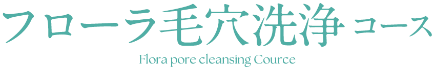 フローラ毛穴洗浄コース-Flora pore ​​cleansing Cource-