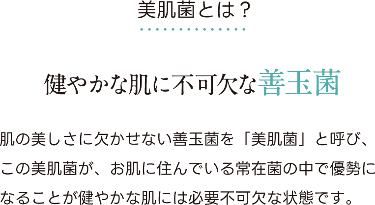 美肌菌とは？巣化やかな肌に不可欠な善玉菌。肌の美しさに欠かせない善玉菌を「美肌菌」と呼び、この美肌菌が、お肌に住んでいる常在菌の中で優勢になることが健やかな肌には必要不可欠な状態です。