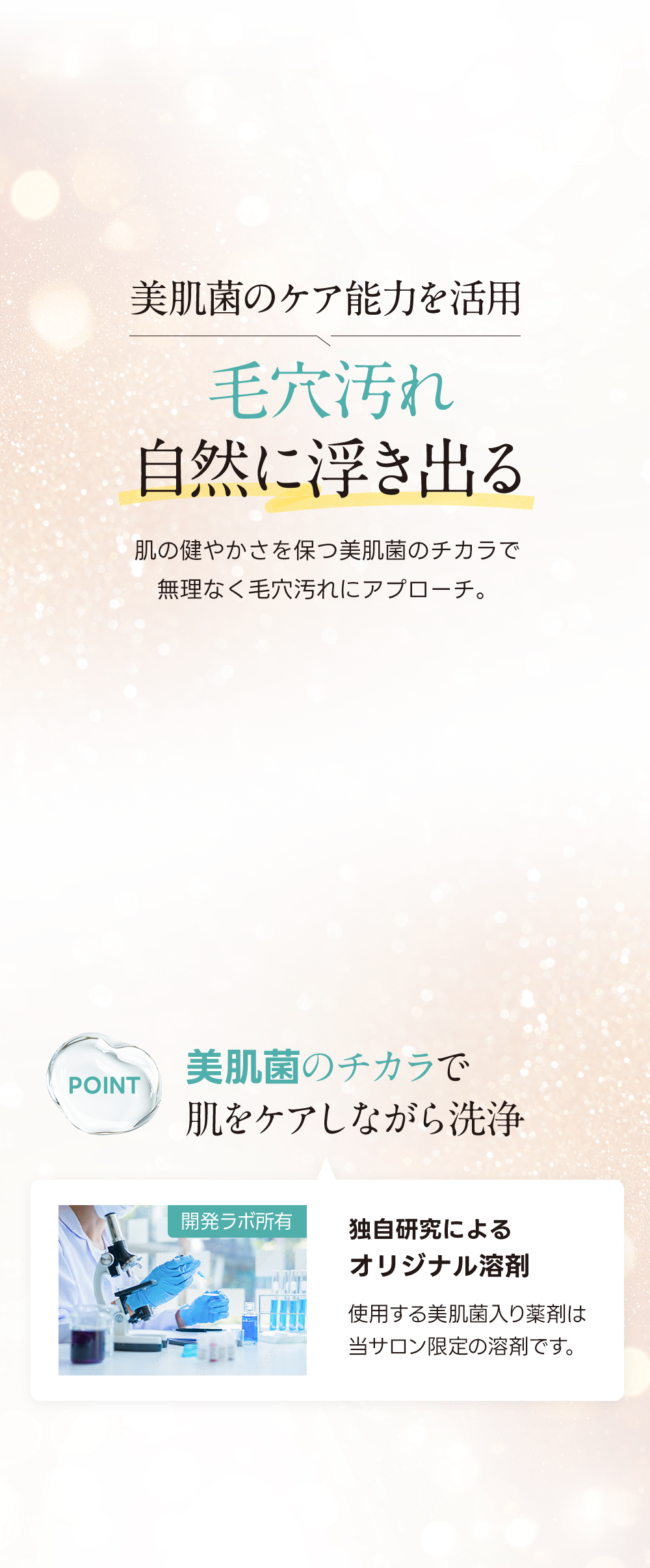 毛穴トラブルの負のスパイラルを食い止める。毛穴問題が発生した場合に怒る負のスパイラルをブロックする働きがあります。